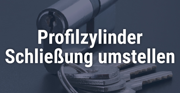 Profilzylinder Schließung umstellen